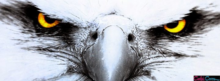 A View from the Nest