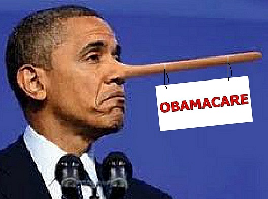 Image result for obamacare